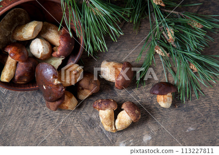 Imleria Badia or Boletus badius mushrooms commonly known as the bay bolete and clay bowl with mushrooms on vintage wooden background. 113227811