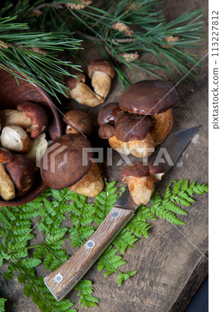 Imleria Badia or Boletus badius mushrooms commonly known as the bay bolete, clay bowl with mushrooms and knife on vintage wooden background.. 113227812