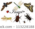 Migratory locusts and other insects 113228188