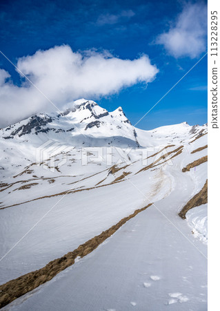 Aerial view of mountain peaks Mittelhorn and Schreckhorn 113228295