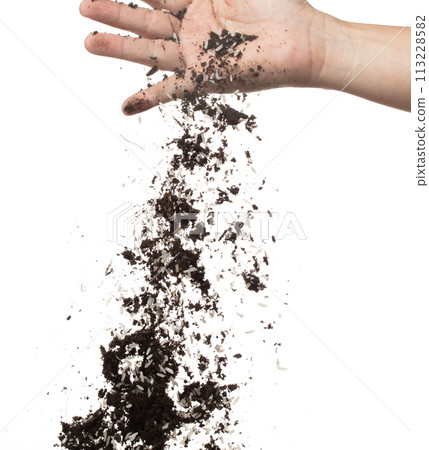 Soil dirt white rice mix in hand. Rice soil fertilizer abstract cloud fly. Soil mix jasmine rice planting splash stop in air. white background isolated high speed freeze motion 113228582