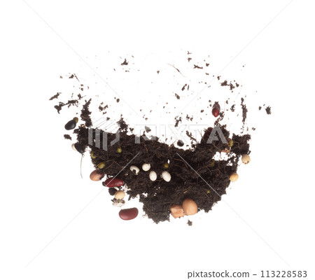 Soil fertilizer mixed multi kind bean fall fly. Mixed beans soil fertilizer abstract cloud fly. Soil mix multi grain beans planting splash stop in air. white background isolated high speed freeze 113228583