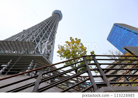 東京天空樹 東京天空樹 113228985