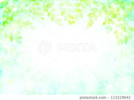 Fresh green image background 113229042