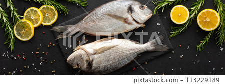 Dorada fish on a black background Dorada fish on a black background 113229189