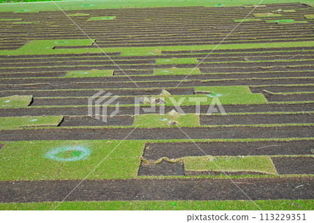 更換草坪、草坪種植區、高爾夫球場 更換草坪、草坪種植區、高爾夫球場 113229351