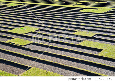 Replacement lawn, lawn growing area, golf Replacement lawn, lawn growing area, golf 113229439