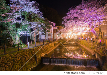 城崎溫泉夜櫻（兵庫縣·城崎溫泉） 113229473