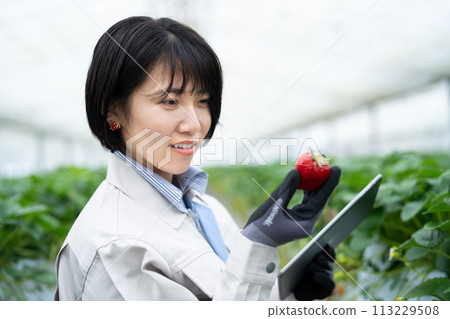 Women practicing smart farming Women practicing smart farming 113229508