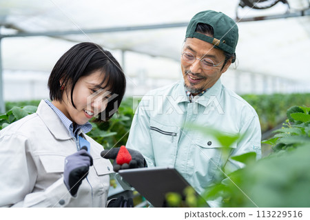 Smart agriculture 113229516