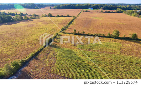 Aerial Golden Hour Over Patchwork Farmland and Dirt Road Aerial Golden Hour Over Patchwork Farmland and Dirt Road 113229574