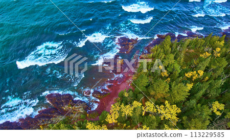 Aerial Top Down Autumn Coastline and Forest at Lake Superior 113229585