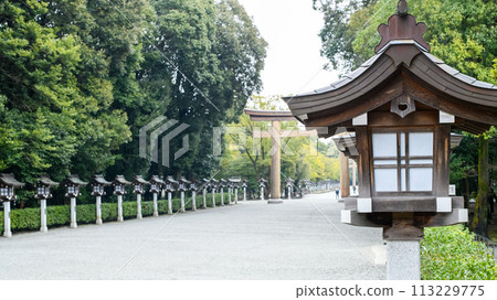 奈良縣橛原神社的燈籠參道 奈良縣橛原神社的燈籠參道 113229775