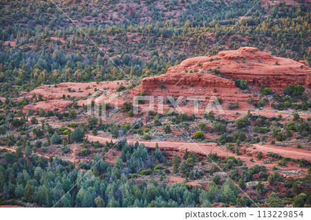 Sedona Red Rock Mesa with Greenery Overlook 113229854