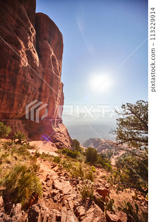 Sunlit Red Rock Formation, Desert Vegetation, Sedona Landscape 113229914
