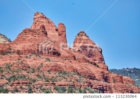 Sedona Red Rock Formations with Lush Desert Vegetation 113230064