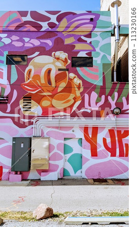 Vibrant Urban Mural Abstract Artwork on Building Side Vibrant Urban Mural Abstract Artwork on Building Side 113230166