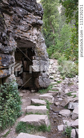 Serene Forest Trail with Rocky Outcrop and Stream Serene Forest Trail with Rocky Outcrop and Stream 113230251