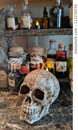 Mystical Apothecary Bottles, Carved Skull, and Rustic Shelf Mystical Apothecary Bottles, Carved Skull, and Rustic Shelf 113230256