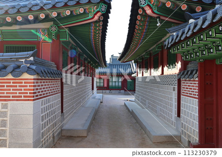 景福bokkungwas 113230379