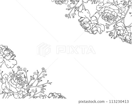 Carnation and Gypsophila Line Frame ③ Diagonal Carnation and Gypsophila Line Frame ③ Diagonal 113230413