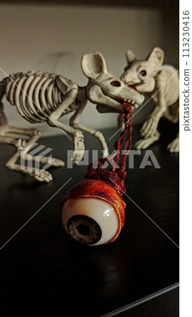 Skeletal Rodent Showdown with Menacing Eyeball on Dark Backdrop Skeletal Rodent Showdown with Menacing Eyeball on Dark Backdrop 113230416