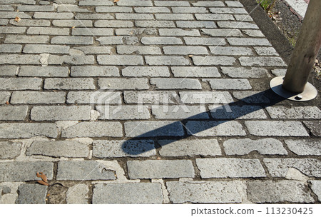 Sunlit cobblestone walkway Sunlit cobblestone walkway 113230425