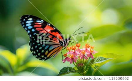Closeup of a vibrant butterfly on a blooming flower, with a blurred background. Generative AI 113230662