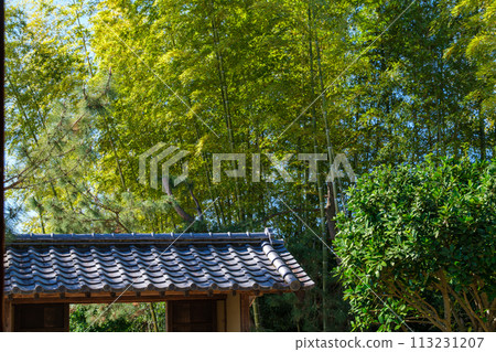 府門和竹林 府門和竹林 113231207