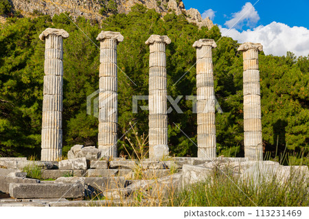 Athena temple in Priene, Turkey. Athena temple in Priene, Turkey. 113231469