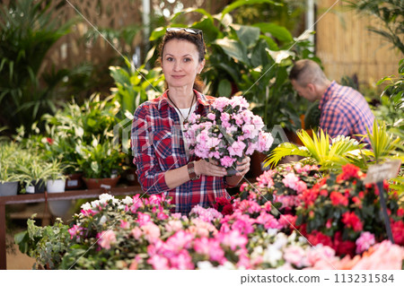 Adult woman choosing azalea in flower shop Adult woman choosing azalea in flower shop 113231584