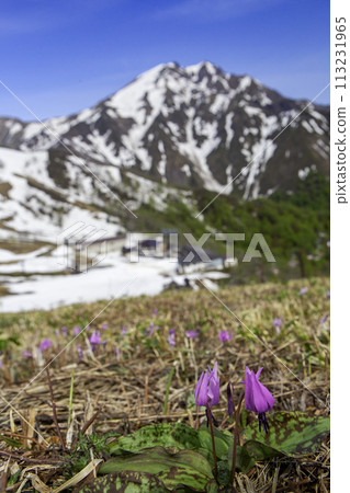 卡塔庫栗和殘雪山（垂直） 113231965