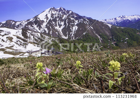 吹之頭和殘雪山 吹之頭和殘雪山 113231968