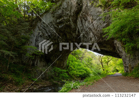Male bridge Male bridge 113232147