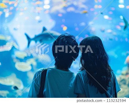 亞洲夫婦沉浸在水族館的魔力中 113232594