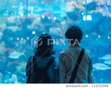 亞洲夫婦沉浸在水族館的魔力中 113232948