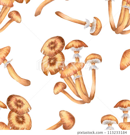 Seamless pattern of honey mushrooms. Illustration with watercolors and markers. Hand-drawn botanical background. Autumn harvest natural, culinary ingredient for wallpaper, recipe, textile, wrapper 113233184