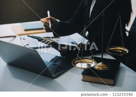 Businessman and Male lawyer or judge consult having team meeting with client, Law and Legal services concept. 113233590