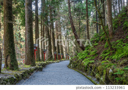 Kibune Shrine Okumiya Sando Kibune Shrine Okumiya Sando 113233961