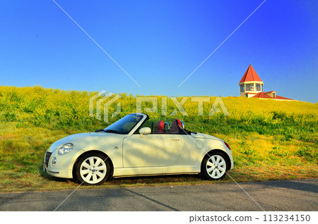 奈花跑車 奈花跑車 113234150