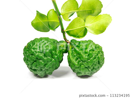 Fresh bergamot or kaffir lime fruit isolated on white background. 113234195