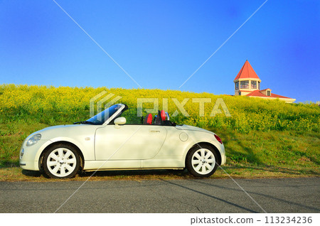 Rape flowers and sports car Rape flowers and sports car 113234236
