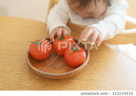 Baby touching a tomato 113234318