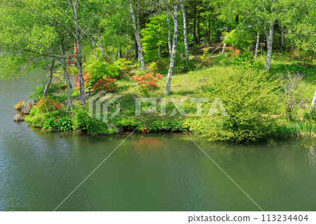 Nagano_Lake Shirakaba and blue sky in early summer 113234404
