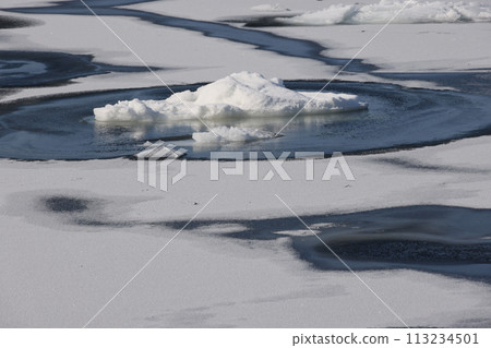 北海道北濱三月 113234501