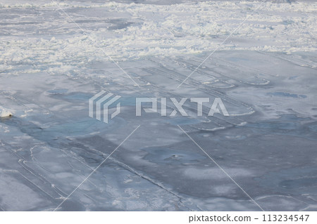 北海道鄂霍次克海結冰 北海道鄂霍次克海結冰 113234547