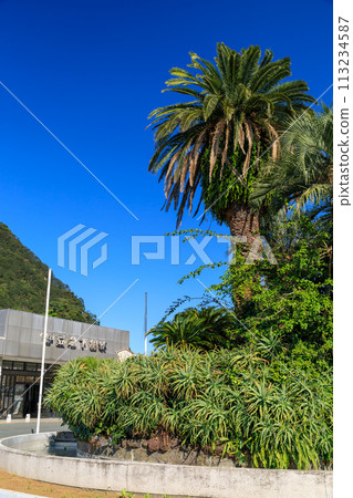 靜岡_初夏伊豆急行下田站前的風景 113234587