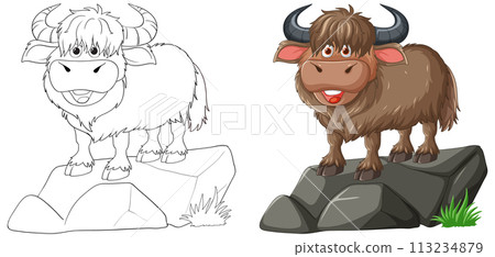 Happy Yak on a Rock Illustration 113234879