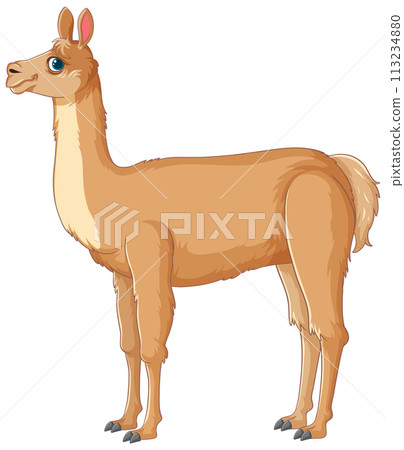 Elegant Vector Illustration of a Llama 113234880
