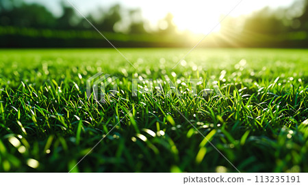 Close-up of lush green grass on a playground Close-up of lush green grass on a playground 113235191